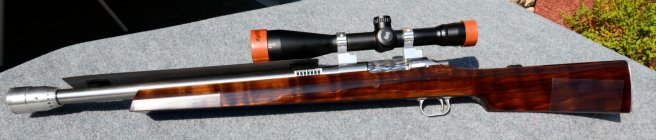 Rifle full length.JPG