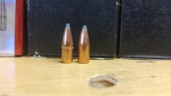 full-34110-271008-img_20251007_125152065.jpg full-34110-271008-img_20251007_125152065.jpg