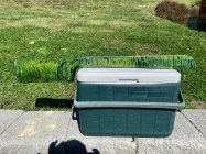 IMG_3930.jpeg