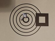 IMG_20251010_190621222.jpg