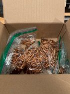 IMG_2759.jpeg