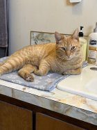 IMG_1622.jpeg