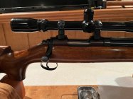 IMG_0348.jpeg