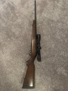 IMG_3185.jpeg