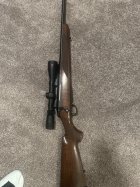 IMG_3184.jpeg