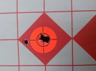204 target.jpg