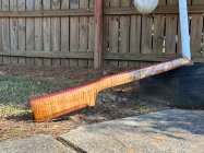 IMG_3535.jpeg