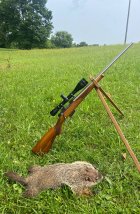 IMG_7904.jpeg