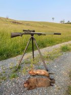 IMG_7916.jpeg