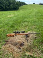 IMG_0028.jpeg