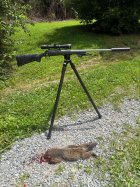 IMG_0465.jpeg