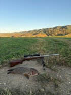 IMG_1053.jpeg