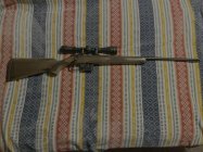 IMG_3786.jpeg IMG_3786.jpeg