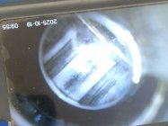 IMG_7294.jpeg