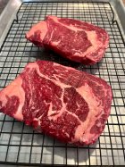 IMG_9359.jpeg IMG_9359.jpeg