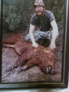 san berdo hog old school.jpg
