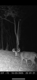 IMG_7868.png IMG_7868.png