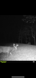 IMG_7869.png IMG_7869.png