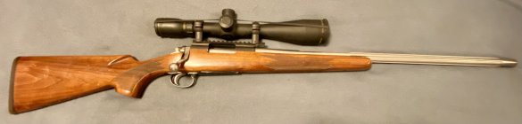 IMG_1389.jpeg IMG_1389.jpeg