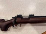 40 X 22LR.jpg
