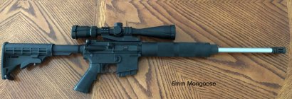 IMG_0067.jpeg IMG_0067.jpeg