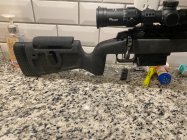IMG_6008.jpeg
