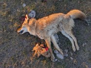 PXL_20251009_235243519.jpg PXL_20251009_235243519.jpg