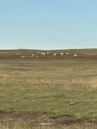 IMG_20251026_235309.jpg IMG_20251026_235309.jpg