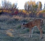 Screenshot_20251020-185751_Reveal.jpg Screenshot_20251020-185751_Reveal.jpg