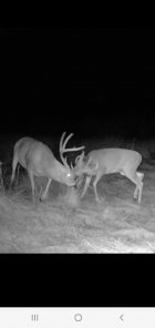 Screenshot_20251021-211932_Reveal.jpg Screenshot_20251021-211932_Reveal.jpg