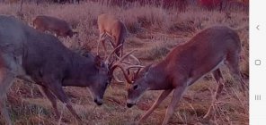 Screenshot_20251012-192219_Reveal.jpg Screenshot_20251012-192219_Reveal.jpg