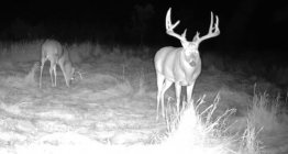 Screenshot_20251027-171559_Reveal.jpg Screenshot_20251027-171559_Reveal.jpg