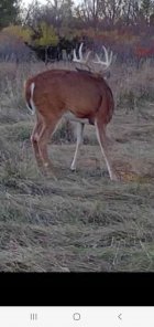 Screenshot_20251021-190554_Reveal.jpg Screenshot_20251021-190554_Reveal.jpg