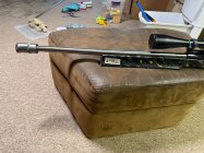 IMG_1605.jpeg