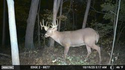 Temp_2693220-20251019111847-100MFCAM_MFDC0032.jpg Temp_2693220-20251019111847-100MFCAM_MFDC0032.jpg