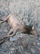 20251026_182731.jpg 20251026_182731.jpg