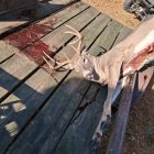 20251027_092609.jpg 20251027_092609.jpg