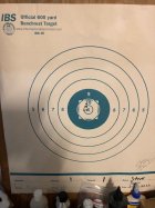 Bat 6mm BRA target.jpg