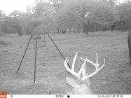 01010585.JPG 01010585.JPG