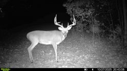 016579005529073-72-2-10282025182802-HD-SYFW00282.jpg 016579005529073-72-2-10282025182802-HD-SYFW00282.jpg