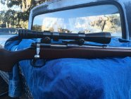 IMG_20251029_172758012.jpg IMG_20251029_172758012.jpg