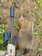 IMG_8311.jpeg IMG_8311.jpeg