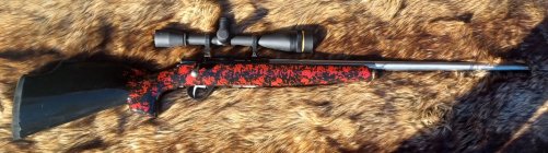 Anshutz Wooster1.jpg