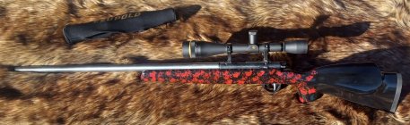 Anshutz Wooster2.jpg