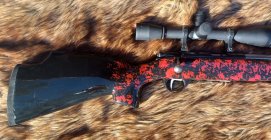 Anshutz Wooster3.jpg