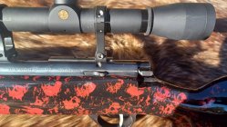 Anshutz Wooster4.jpg