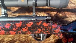 Anshutz Wooster5.jpg