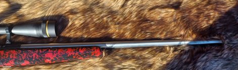 Anshutz Wooster6.jpg