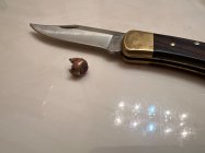 IMG_2957.jpeg IMG_2957.jpeg