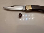 IMG_2956.jpeg IMG_2956.jpeg